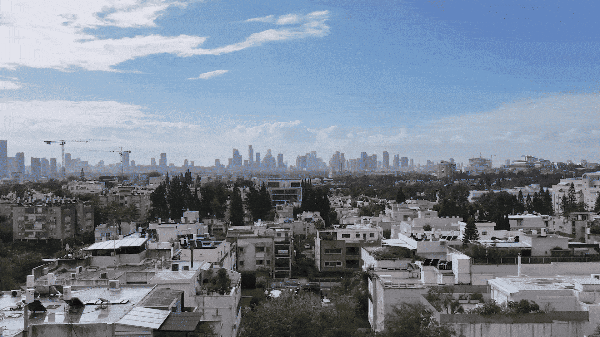 המאירי נוף פתוח - ארז תירוש 2